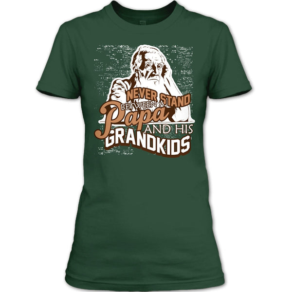 Never Stand Between T Shirt, A Papa And A His Grandkids T Shirt