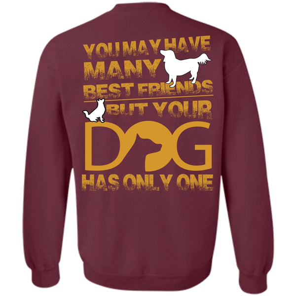 You May Have Many Best Friend T Shirt, I Love My Dog Sweatshirt