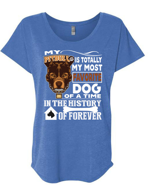 My Pit Bull Is Totally My Most Favorite Dog T Shirt, A Time In The History Of Forever T Shirt, Cool Shirt (Ladies' Triblend Dolman Sleeve)