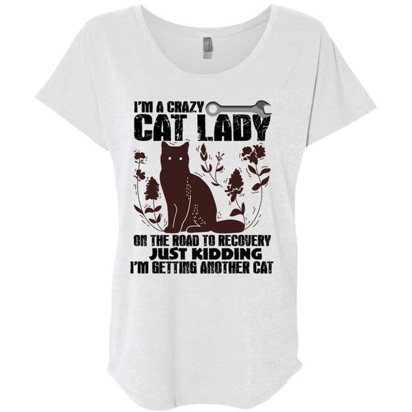 I'm A Crazy Cat Lady On The Road T Shirt, I Love My Cat T Shirt, Awesome T-Shirts