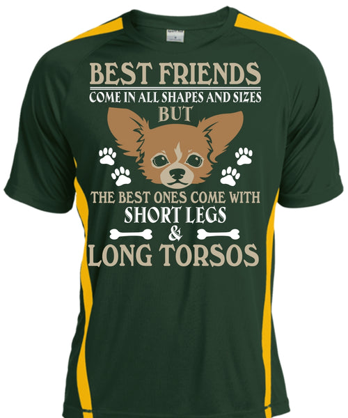 Best Friends Come In All Shapes And Sizes T Shirt, My Dog T Shirt