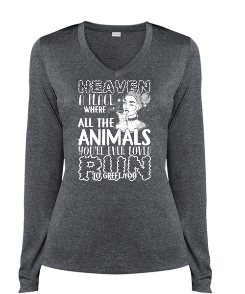 You're Ever Loved Run T Shirt, Heaven A Place T Shirt, Cool Shirt (Ladies LS Heather V-Neck)