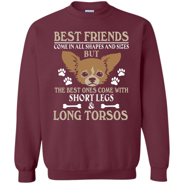 The Best One Come With Short Legs & Long Torsos T Shirt, Coolest Dog Sweatshirt