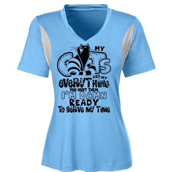My Cats Are My Everything T Shirt, I Love My Cat T Shirt, Awesome T-Shirts