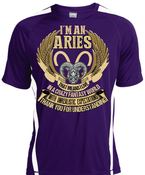 I'm An Aries T Shirt, Thank You For Understanding T Shirt, Cool Shirt
