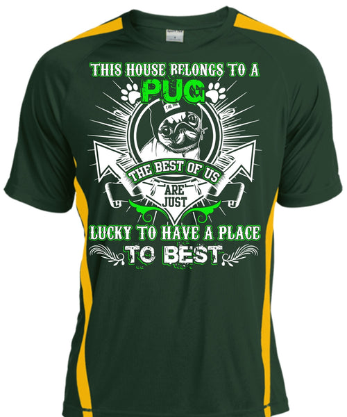 This House Belongs To A Pug T Shirt, Lucky To Have A Place T Shirt, Cool Shirt
