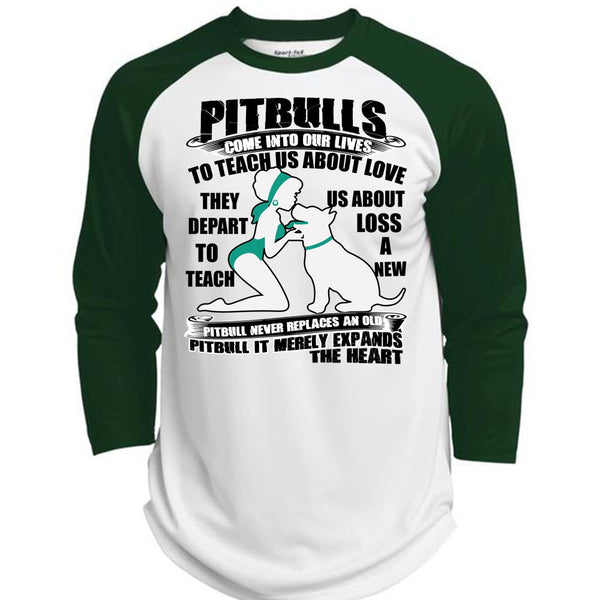 Pit Bulls Come Into Our Lives T Shirt, I Love Pit Bull T Shirt, Awesome T-Shirts  (Polyester Game Baseball Jersey)