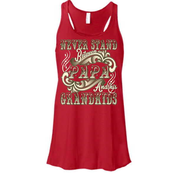 Never Stand Between T Shirt, Papa And His Grandkids Tank Top
