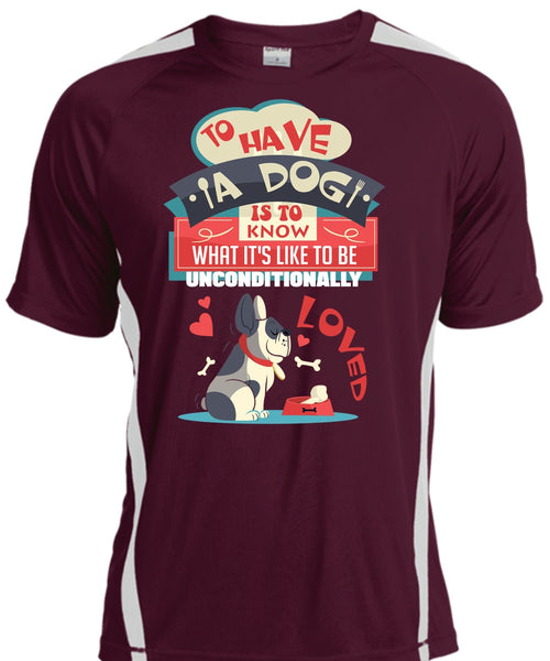 To Have A Dog Is To Know T Shirt, My Favorite T Shirt, Cool Shirt
