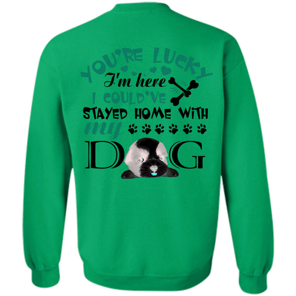 My Love T Shirt, I Could've Stayed Home With My Dog Sweatshirt