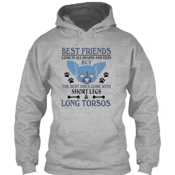 Best Friends Come In All Shapes And Size T Shirt, Coolest Dog T Shirt