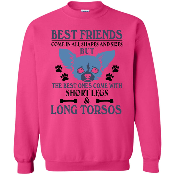 Coolest Dog T Shirt, Best Friends Come In All Shapes And Size Sweatshirt