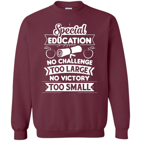 Special Education No Victory Too Small T Shirt, Teacher's Day T Shirt Sweatshirt