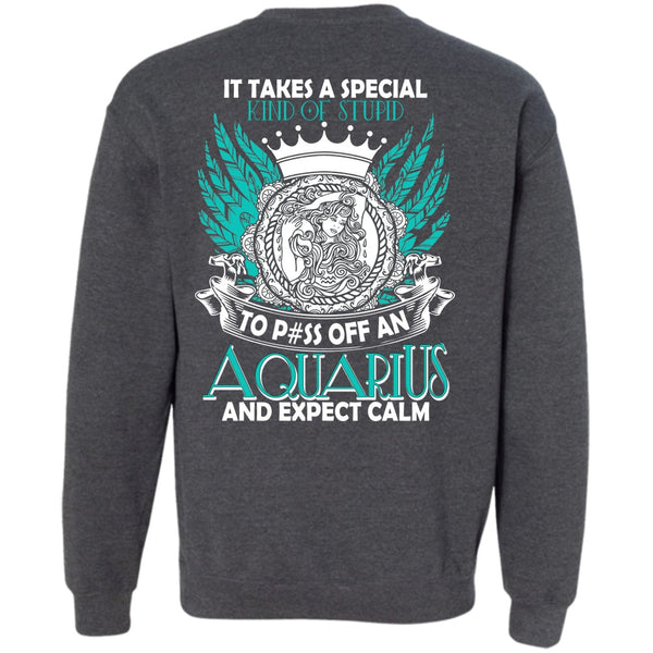 Kind Of Stupid T Shirt, I Love Aquarius Sweatshirt