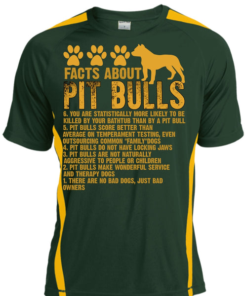 Facts About Pit Bulls T Shirt, There Are No Bad Dogs T Shirt, Cool Shirt