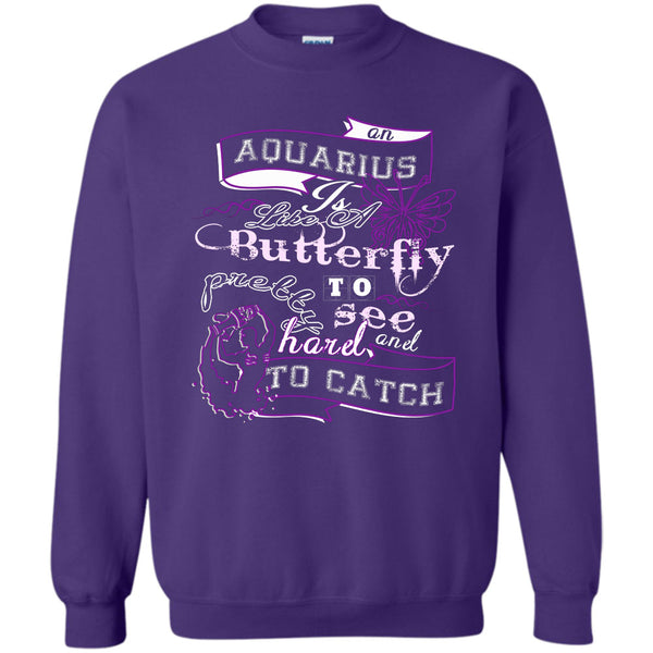 Pretty To See Hard And To Catch T Shirt, I'm A Coolest Aquarius Sweatshirt