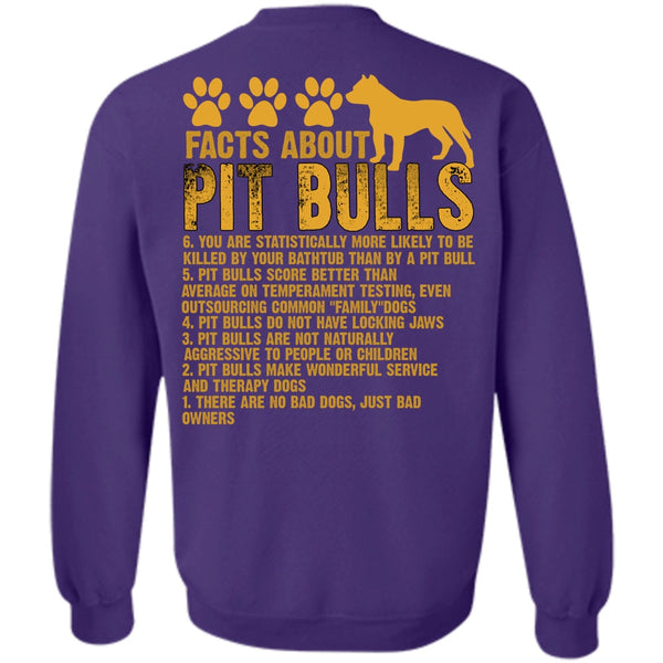 There Are No Bad Dogs T Shirt, I Love Pit Bull Sweatshirt