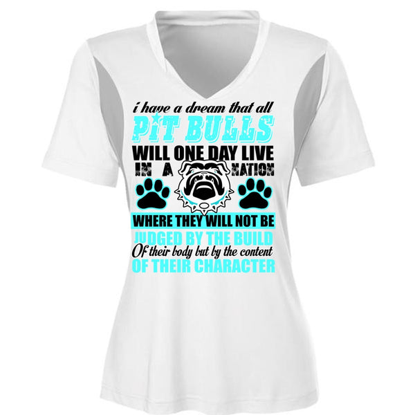 I Have A Dream That All Pit Bulls T Shirt, My Favorite T Shirt, Cool Shirt (Ladies LS Heather V-Neck)