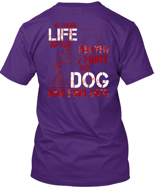 Hurt My Dog And Find Out T Shirt, Is There After Death T Shirt