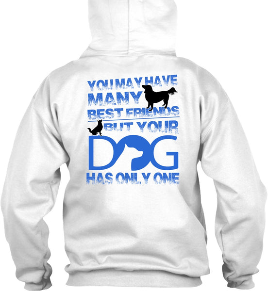 Your Dog Has Only One T Shirt, I Love My Dog T Shirt