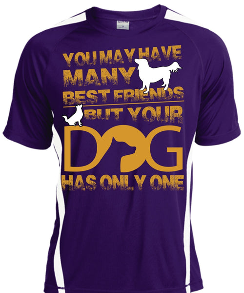 Your Dog Has Only One T Shirt, You May Have Many Best Friend T Shirt, Cool Shirt