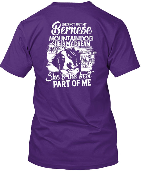 My Bernese Mountain Dog T Shirt, She Is My Dream T Shirt