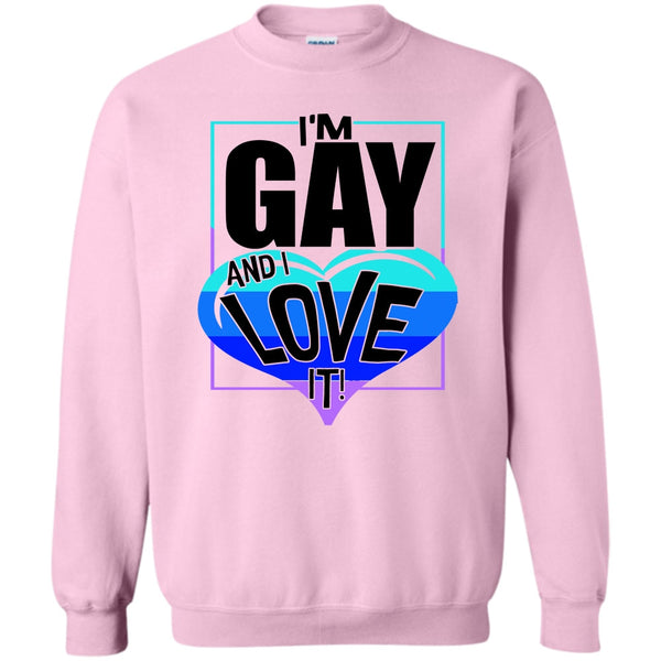 Gift For Gay T Shirt, I'm Gay And I Love It Sweatshirt