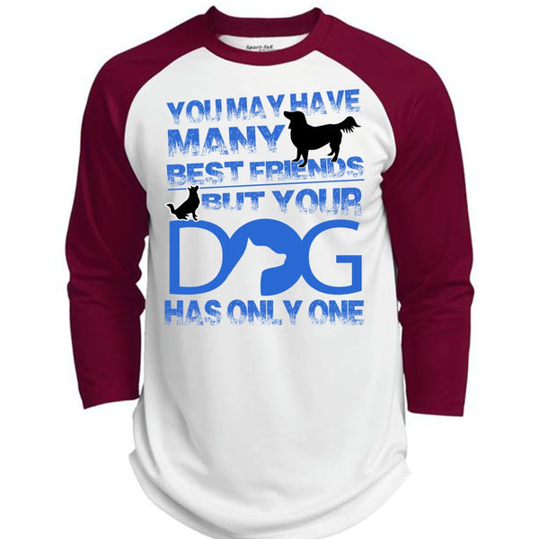 Your Dog Has Only One T Shirt, I Love My Dog T Shirt, Awesome T-Shirts  (Polyester Game Baseball Jersey)