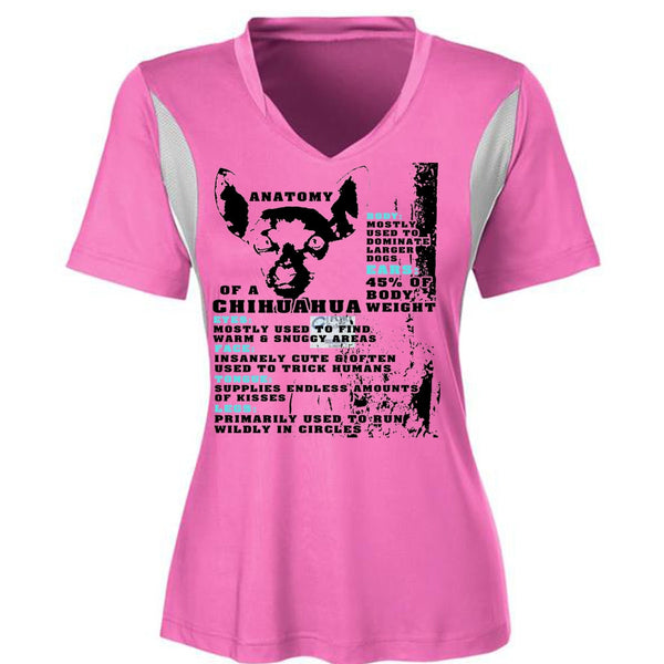 Anatomy Of A Chihuahua T Shirt, I Love My Dog T Shirt, Favorite T Shirt