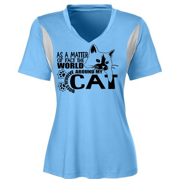 World Does Revolve Around My Cat T Shirt, I Love Cat T Shirt, Awesome T-Shirts