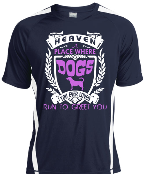 Heaven A Place Where Dogs T Shirt, You Ever Loved Run To Greet You T Shirt