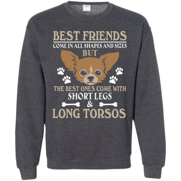 The Best One Come With Short Legs & Long Torsos T Shirt, Coolest Dog Sweatshirt