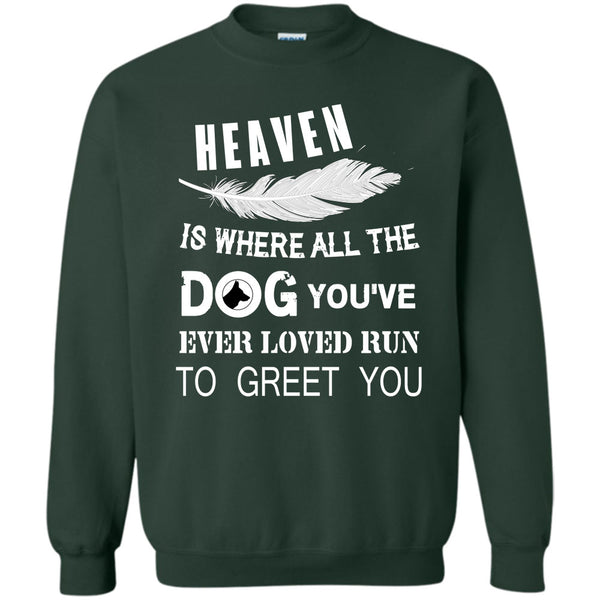You’ve Ever Loved T Shirt, My Dog Sweatshirt