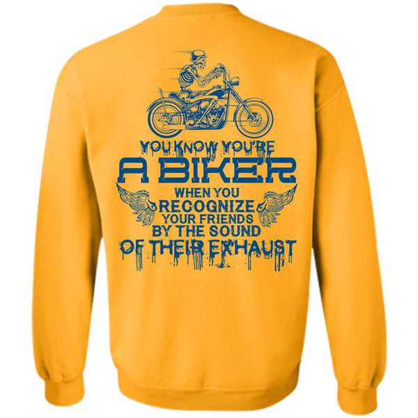 Being A Biker T Shirt, You Know You're A Biker Sweatshirt