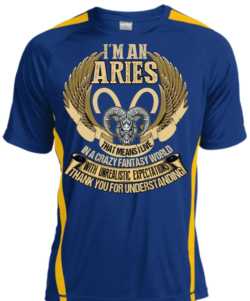 I'm An Aries T Shirt, Thank You For Understanding T Shirt, Cool Shirt