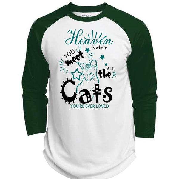 Heaven Is Where You Meet All The Cats T Shirt, I Love My Cat T Shirt, Awesome T-Shirts  (Polyester Game Baseball Jersey)