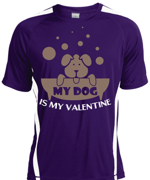 My Dog Is My Valentine T Shirt, My Favorite T Shirt, Cool Shirt