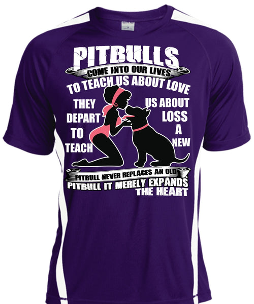 Pit Bulls Come Into Our Lives T Shirt, My Favorite T Shirt, Cool Shirt