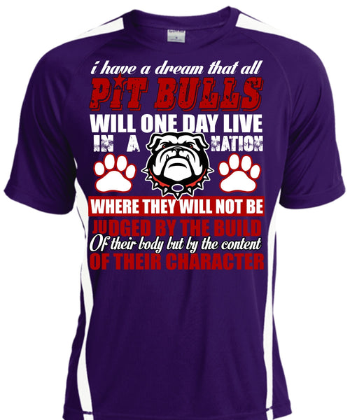 I Have A Dream That All Pit Bulls T Shirt, My Favorite T Shirt, Cool Shirt