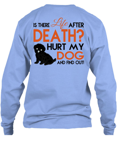 Hurt My Dog And Find Out T Shirt, Favorite T Shirt