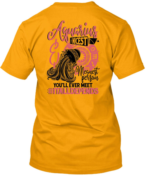Aquarius Nicest Meanest Person T Shirt, I Love Aquarius T Shirt