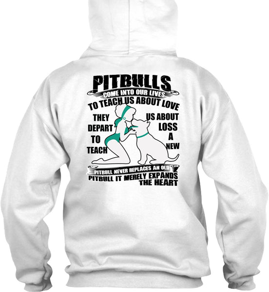 Pit Bulls Come Into Our Lives T Shirt, I Love Pit Bull T Shirt