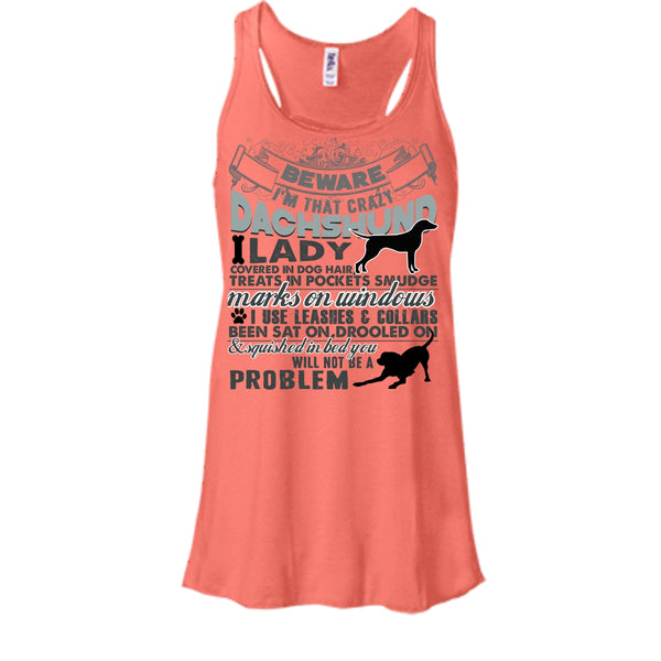 I'm That Crazy Dachshund Lady T Shirt, I Am A Dog Lover T Shirt, Awesome t-shirts
