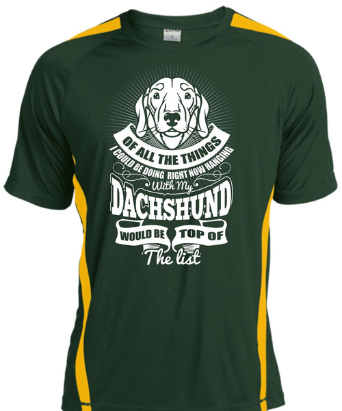 Hanging With My Dachshund T Shirt, My Pets T Shirt, Cool Shirt