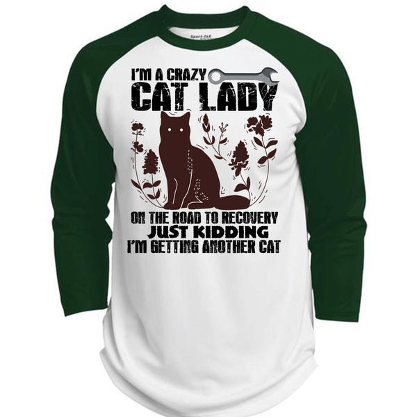 I'm A Crazy Cat Lady On The Road T Shirt, I Love My Cat T Shirt, Awesome T-Shirts  (Polyester Game Baseball Jersey)