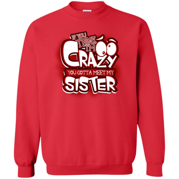 You Gotta Meet My Sister T Shirt, Gift For Sister Sweatshirt