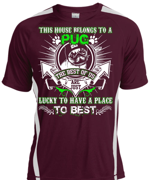 This House Belongs To A Pug T Shirt, Lucky To Have A Place T Shirt, Cool Shirt