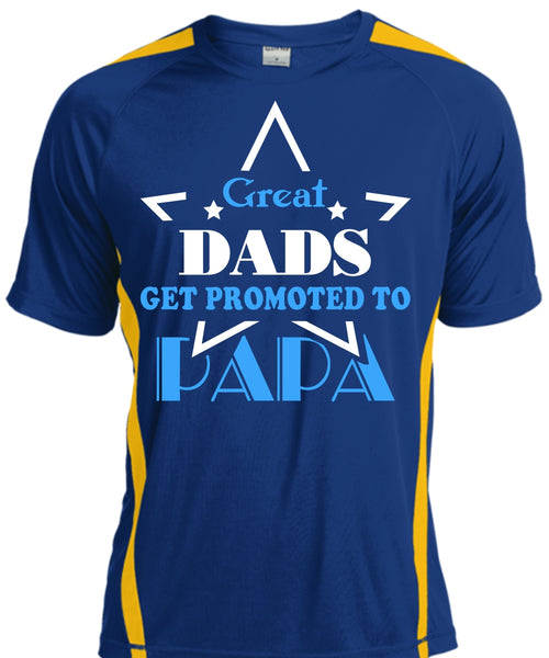 Great Dads Get Promoted To Papa T Shirt, Father's Day T Shirt