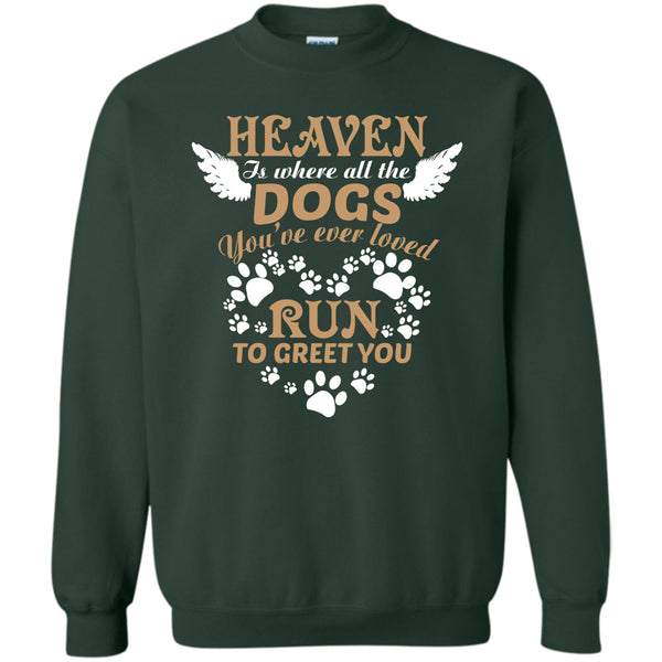 Run To Greet You T Shirt, I Love My Dog Sweatshirt