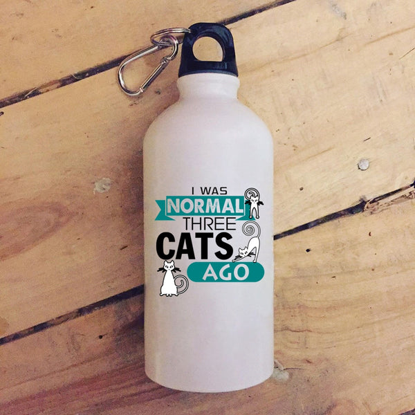 I Was Normal Three Cats Ago 20 oz Stainless Steel Bottle,Cute Cat Owner Outdoor Sports Water Bottle
